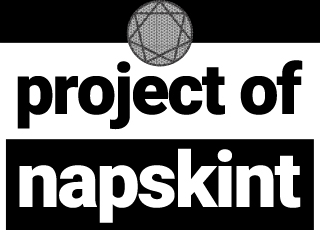 project of napskint