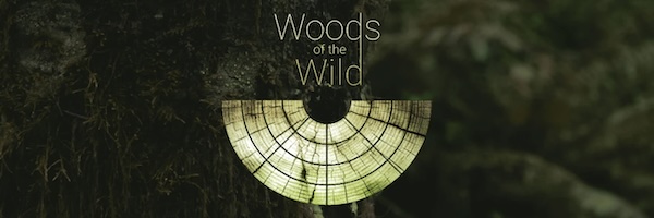 【7/31まで 50％OFF】Sonuscore「Woods Of The Wild」ダイナミックな木管アンサンブル作成ツール