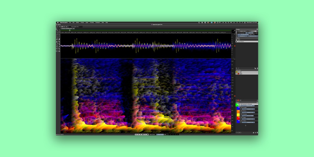 【12/10まで 40％OFF】Steinberg「SpectraLayers」周波数の壁を越えるスペクトラル編集の新境地！AI が変えるオーディオ編集の未来｜DTMプラグインセール