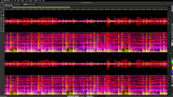 【12/10まで 40％OFF】Steinberg「SpectraLayers」周波数の壁を越えるスペクトラル編集の新境地！AI が変えるオーディオ編集の未来｜DTMプラグインセール
