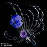 【1/5まで 91％OFF】Glitchmachines「Syndrone」異次元から届く5GBのシネマティック サウンド！緊張と不安を演出する邪悪なドローン＆アトモスフィア｜DTMプラグインセール