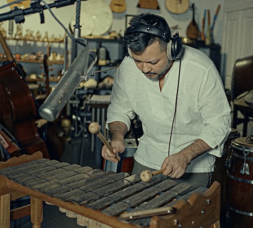 MNTRA「El Jaguar」コロンビアのカリブ沿岸地下音楽シーンの鼓動!アフロ・カリブ打楽器の生々しいエネルギーとアナログの温かみを収録した、ラテングルーヴ、ヒップホップ、実験的ビートに最適なサウンドライブラリー|DTMプラグインセール