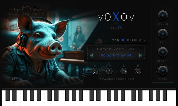 SlapAsSound「VOXOV vol.09」声ネタだけじゃない!使い方次第でグルーヴが生まれる、音楽的アイデアを刺激する“人間らしさの塊”を音源化した話題の無料ボーカルVST|DTMプラグインセール