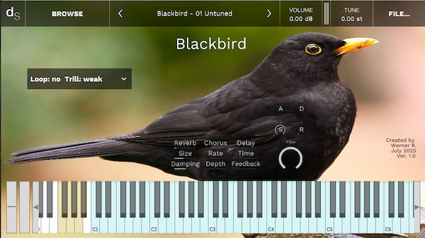 Werner K.「Blackbird」ループ切替やトリルの強弱まで自由自在!鳥のさえずりがメロディとなり、リズムとなり、感情を伝える…唯一無二の無料音源|DTMプラグインセール