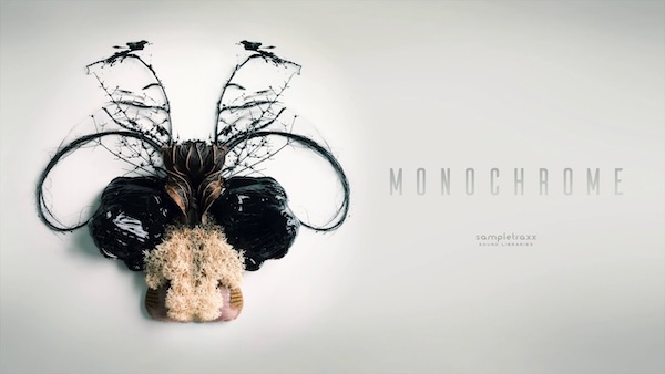 Sampletraxx「Monochrome」映像・ゲーム・アートの“音の空気感”にこだわるすべてのクリエイターへ!静けさ、緊張、無機質な美しさを操るサウンドライブラリ|DTMプラグインセール