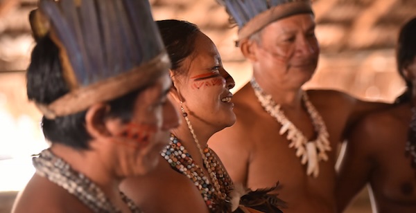 Sounds of the Earth「AMA I Complete Edition」アマゾン奥地で実際に収録された100種類以上の民族楽器をKontaktで完全再現！自然音・儀式音・スピリチュアルな響きまでも網羅したライブラリ｜DTMプラグインセール