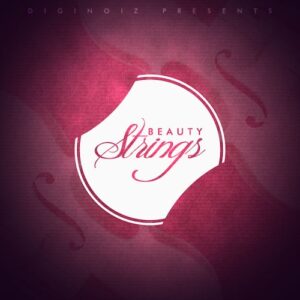 Diginoiz「Beauty Strings」Hip Hop・R&B・Popに映える本物の弦楽器サウンド！プロ演奏による118種類のソロバイオリンループ｜DTMプラグインセール