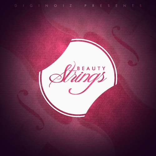 Diginoiz「Beauty Strings」Hip Hop・R&B・Popに映える本物の弦楽器サウンド！プロ演奏による118種類のソロバイオリンループ｜DTMプラグインセール