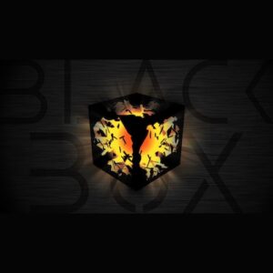 Justin Trieger「Black Box」予測不可能な音が創造力を刺激する！ビンテージシンセからビオラまで収録された33種類以上の楽器×完全ランダムのエフェクトチェーンが生み出す“想定外のサウンド”をワンクリックで楽しめるKontakt音源｜DTMプラグインセール