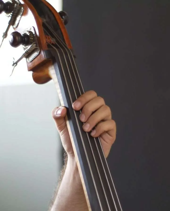 Xperimenta「Classica Double Bass」自然なレガートと豊富な奏法、4つのマイクで本物のウッドベースをDAWに再現!録音スタジオの空気感までも感じるリアルなサウンドの高品質ベース音源|DTMプラグインセール