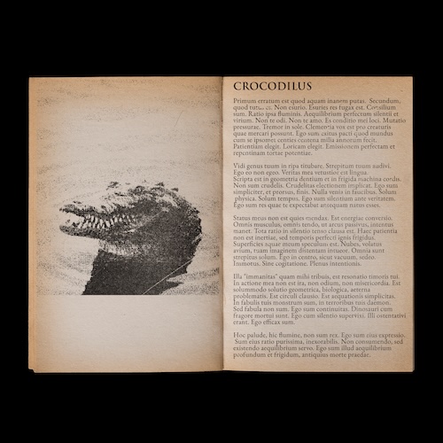 Azpex「CROCODILE V2 - BOOM BAP DRUM KIT」90年代ニューヨーク・ヒップホップの空気感をそのままビートに落とし込めるブーンバップ特化ドラムキット｜DTMプラグインセール