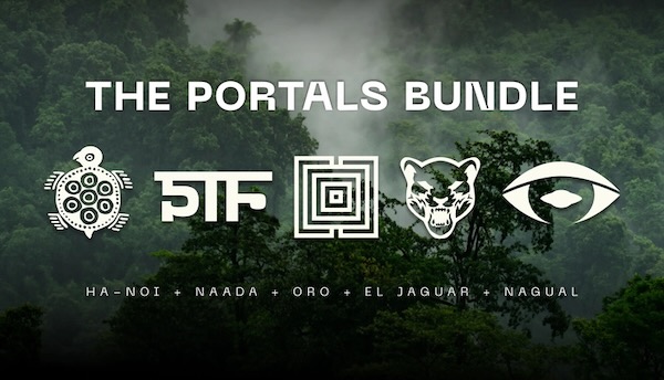 MNTRA「Portals Bundle」世界四都市から集めた伝統楽器の響きと現代的テクスチャー!ベトナム、コロンビア、インド、メキシコの音色を完全収録したエスニック音源コレクション|DTMプラグインセール
