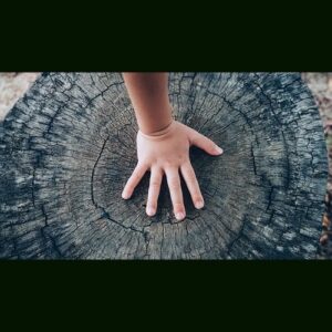 MusicRadar「SampleRadar: 213 free wooden percussion samples」専用楽器に頼らないDIY発想！木と木がぶつかるリアルな打音を丁寧に加工し、ヒットとテンポ付きループで即戦力に仕上げたサンプル集｜DTMプラグインセール