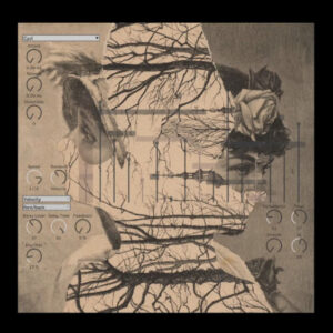 Remo De Vico「Ø — Max for Live Synth & Sequencer」Ableton Liveで予測不能な音の流れを生み出すMax for Liveシンセ＆迷宮型シーケンサー｜DTMプラグインセール