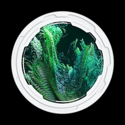 Minimal Audio「Current Essential Bundle」即戦力プリセットと本格的なサウンドデザイン機能を両立！モダンな音楽制作を一段引き上げる総合型シンセバンドル｜DTMプラグインセール