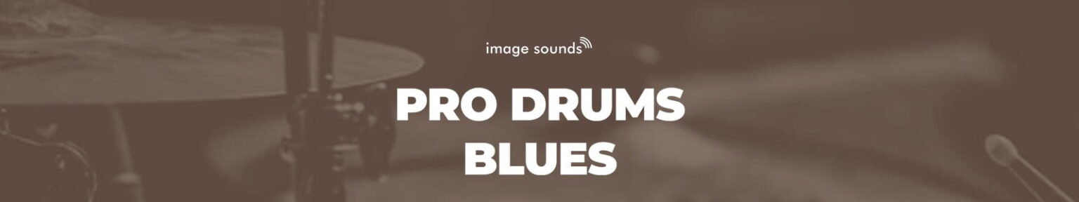 Image Sounds「Pro Drums Blues」5,000本以上のグルーヴ＆フィルを収録！打ち込みでは再現しきれないブルース特有のスウィングと人間的な揺れを、実際のスタジオ生演奏マルチトラックでそのまま取り込める本格アコースティックドラムライブラリ｜DTMプラグインセール