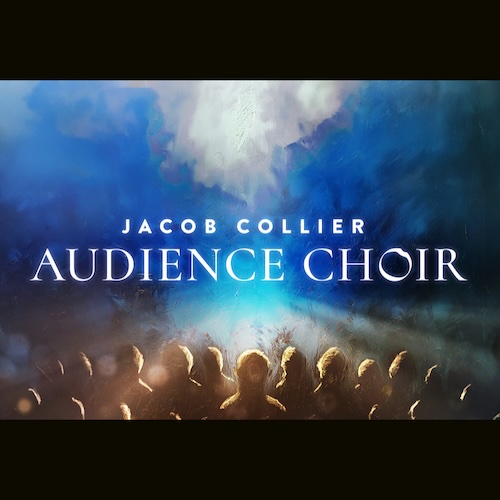 Native Instruments「Jacob Collier Audience Choir」世界中の観客の歌声を収録した、壮大なハーモニーを生み出す革新的コーラル音源｜DTMプラグインセール