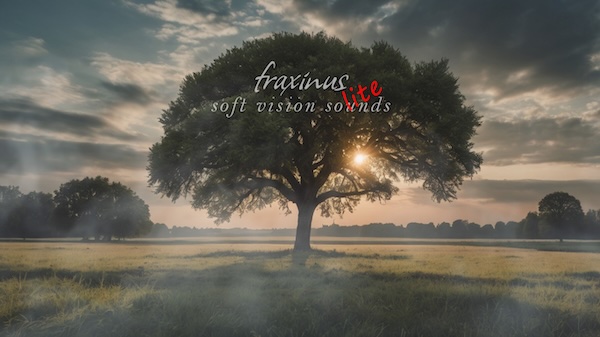 SiberianCat Audio「Fraxinus Lite – Soft Vision Sounds」Soundbox対応で幻想的なサウンドスケープを簡単に構築！820サンプル搭載の無料アンビエントライブラリ｜DTMプラグインセール