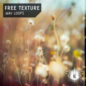 Ghosthack「30 Free Texture Loops」楽曲や映像に自然な奥行きを加える！背景を美しく満たす30種類のロイヤリティフリーテクスチャ素材集｜DTMプラグインセール