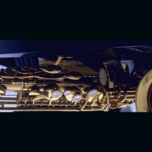 PavelSabacky「Saxarimba」サックスのアタック感をマリンバやプラックシンセのように使えるユニークなKontaktライブラリ｜DTMプラグインセール