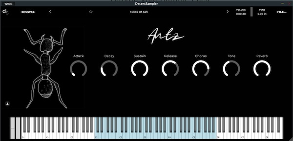 antsteep「Antz」アナログシンセをカセット録音して作られた、壊れかけの空気感が美しいローファイ音源｜DTMプラグインセール
