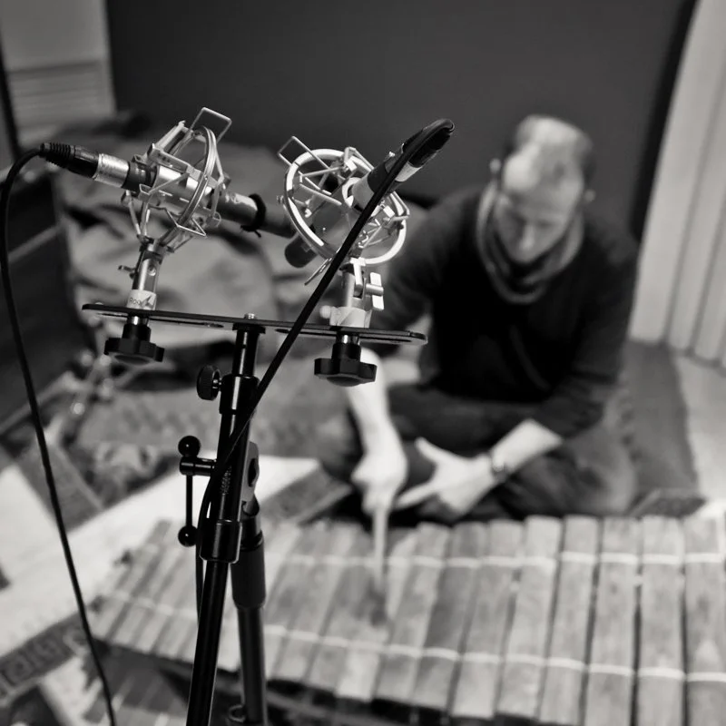 loops de la crème「ROOTS BALAFON」西アフリカの伝統楽器「バラフォン」をリアル収録した、温かくオーガニックな響きが魅力のKontakt音源｜DTMプラグインセール