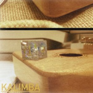 Lasiurus「Kalimba」17キーのカリンバを丁寧にサンプリングした、自然で心地よい響きが魅力の音源｜DTMプラグインセール