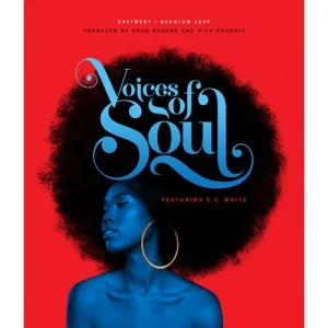 EASTWEST「Voices Of Soul」ソウルフルな歌声を楽曲に追加！600以上のフレーズとリアルレガートで“歌わせる”ボーカル音源｜DTMプラグインセール