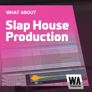 W. A. Production「Slap House Production」スラップハウス制作の流れをドラム・ベース・ボーカル・マスタリングまで実践的に学べる動画講座｜DTMプラグインセール
