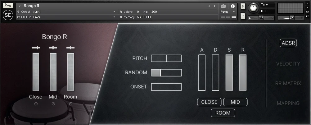 Schallenberg Engineering「BONGOS」3種類のマイクポジションで収録したリアルなボンゴサウンドを収録した、Kontakt Full Version対応パーカッションライブラリ|DTMプラグインセール