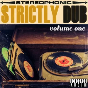 Reggae-Loops「Strictly Dub Vol 1」生演奏のベース・ドラム・オルガンとDub FXを収録したDub／Reggae向けサンプルパック｜DTMプラグインセール