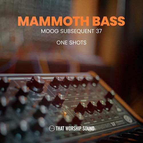 That Worship Sound「Mammoth Bass」Moog Subsequent 37の太く温かいベースを100種類収録したワンショット音源｜DTMプラグインセール